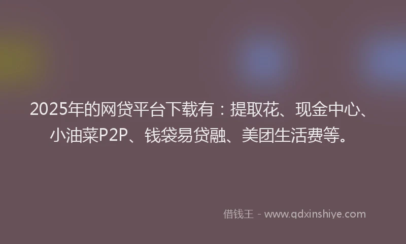 2025年的网贷平台下载有：提取花、现金中心、小油菜P2P、钱袋易贷融、美团生活费等。