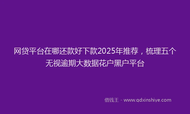 网贷平台在哪还款好下款2025年推荐，梳理五个无视逾期大数据花户黑户平台