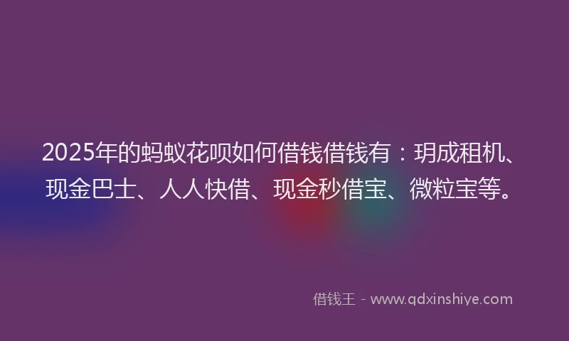 2025年的蚂蚁花呗如何借钱借钱有：玥成租机、现金巴士、人人快借、现金秒借宝、微粒宝等。