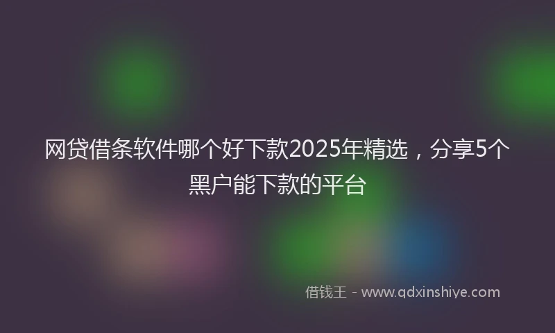网贷借条软件哪个好下款2025年精选，分享5个黑户能下款的平台