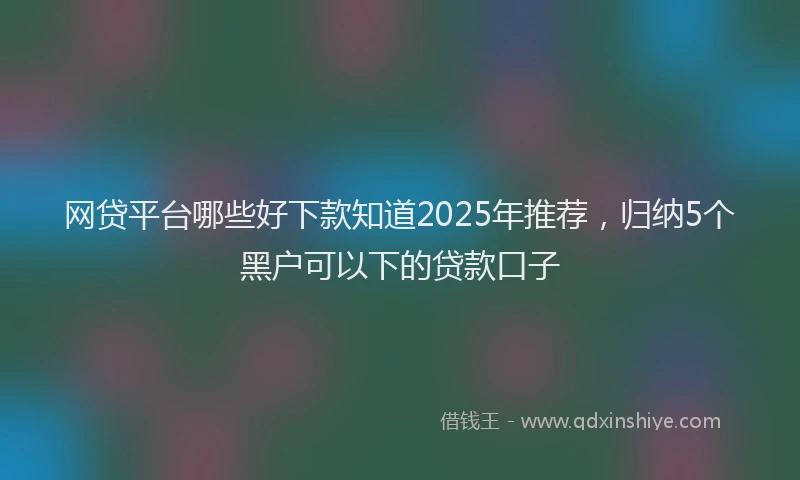 网贷平台哪些好下款知道2025年推荐，归纳5个黑户可以下的贷款口子