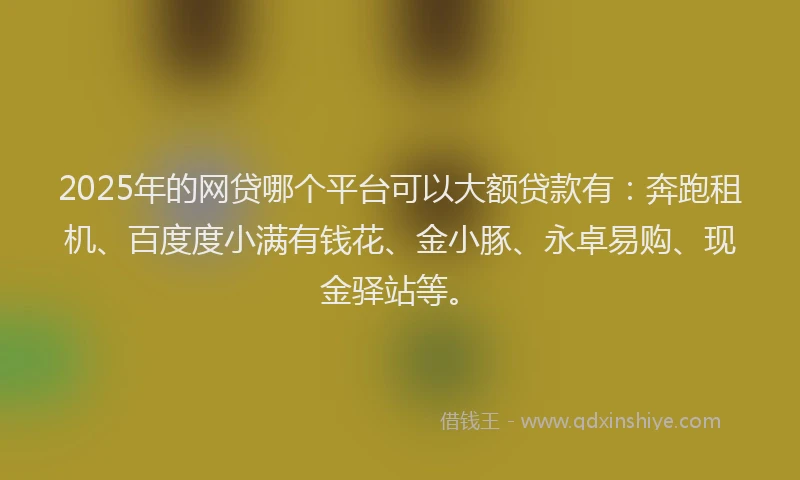 2025年的网贷哪个平台可以大额贷款有：奔跑租机、百度度小满有钱花、金小豚、永卓易购、现金驿站等。