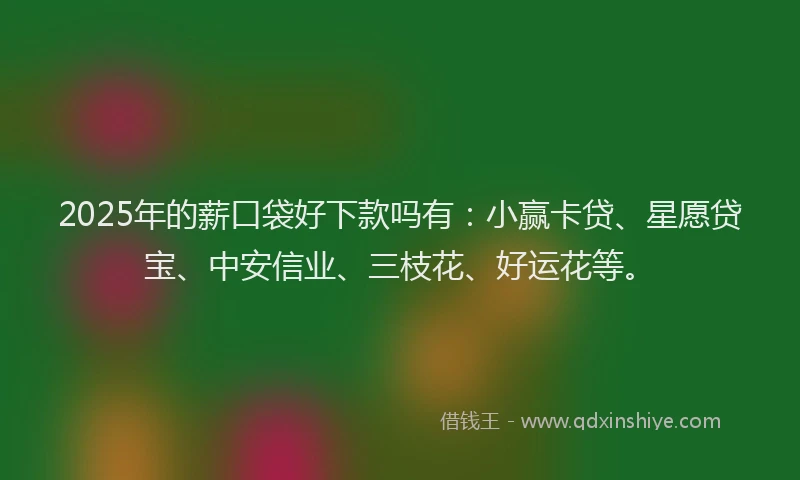 2025年的薪口袋好下款吗有：小赢卡贷、星愿贷宝、中安信业、三枝花、好运花等。