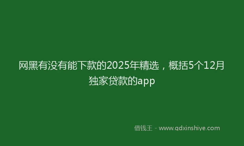 网黑有没有能下款的2025年精选，概括5个12月独家贷款的app
