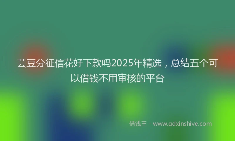 芸豆分征信花好下款吗2025年精选，总结五个可以借钱不用审核的平台