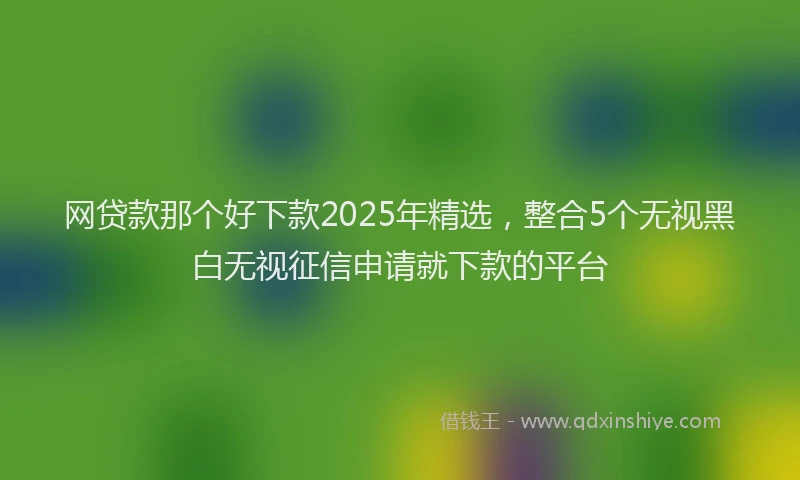 网贷款那个好下款2025年精选，整合5个无视黑白无视征信申请就下款的平台