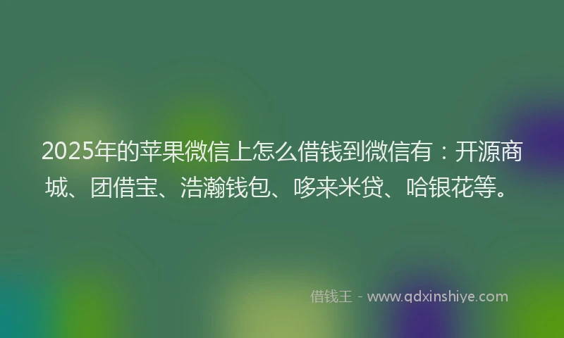 2025年的苹果微信上怎么借钱到微信有：开源商城、团借宝、浩瀚钱包、哆来米贷、哈银花等。