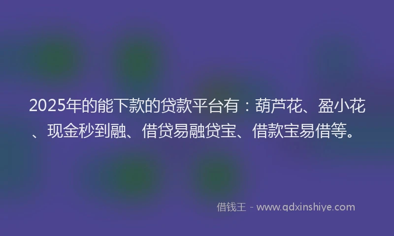 2025年的能下款的贷款平台有：葫芦花、盈小花、现金秒到融、借贷易融贷宝、借款宝易借等。