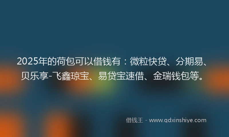 2025年的荷包可以借钱有：微粒快贷、分期易、贝乐享-飞鑫琼宝、易贷宝速借、金瑞钱包等。