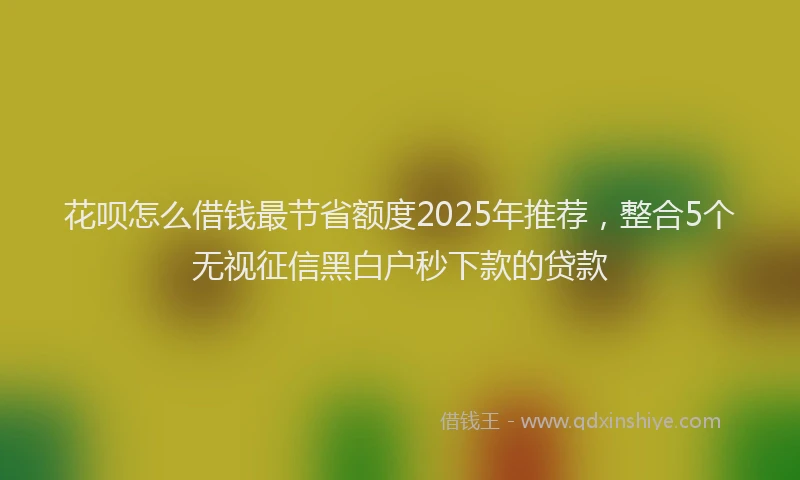 花呗怎么借钱最节省额度2025年推荐，整合5个无视征信黑白户秒下款的贷款