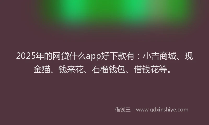 2025年的网贷什么app好下款有：小吉商城、现金猫、钱来花、石榴钱包、借钱花等。