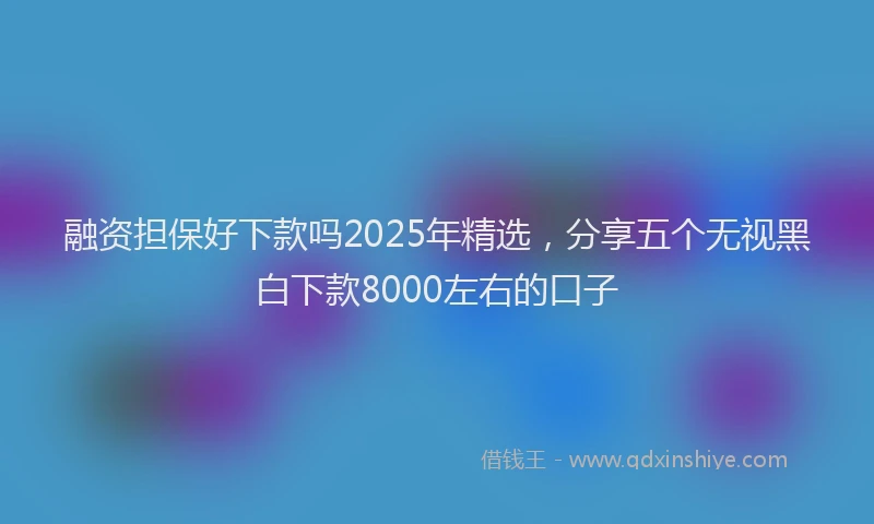 融资担保好下款吗2025年精选，分享五个无视黑白下款8000左右的口子