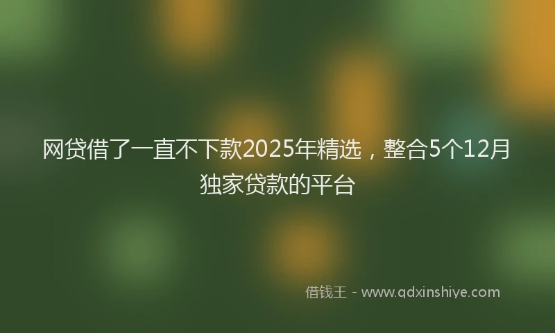 网贷借了一直不下款2025年精选，整合5个12月独家贷款的平台