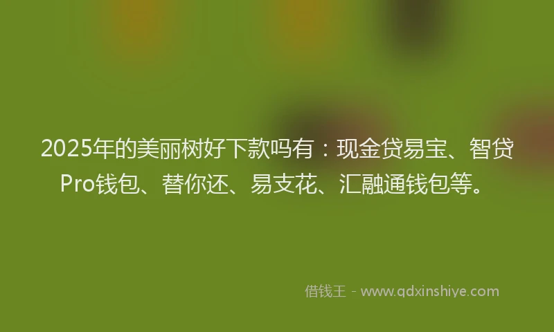 2025年的美丽树好下款吗有：现金贷易宝、智贷Pro钱包、替你还、易支花、汇融通钱包等。