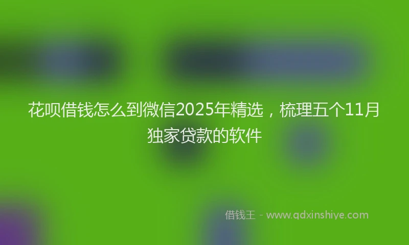 花呗借钱怎么到微信2025年精选，梳理五个11月独家贷款的软件