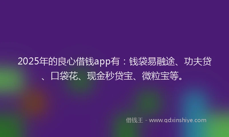 2025年的良心借钱app有：钱袋易融途、功夫贷、口袋花、现金秒贷宝、微粒宝等。
