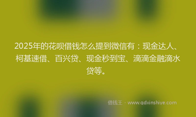 2025年的花呗借钱怎么提到微信有：现金达人、柯基速借、百兴贷、现金秒到宝、滴滴金融滴水贷等。