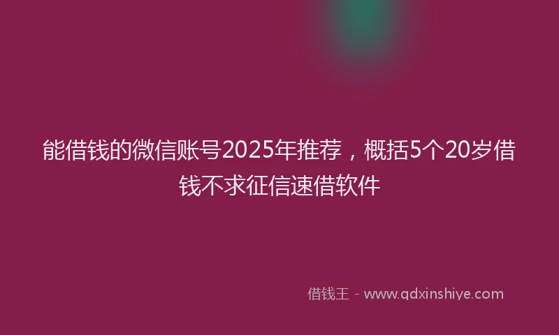 能借钱的微信账号2025年推荐，概括5个20岁借钱不求征信速借软件