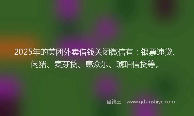 2025年的美团外卖借钱关闭微信有：银票速贷、闲猪、麦芽贷、惠众乐、琥珀信贷等。