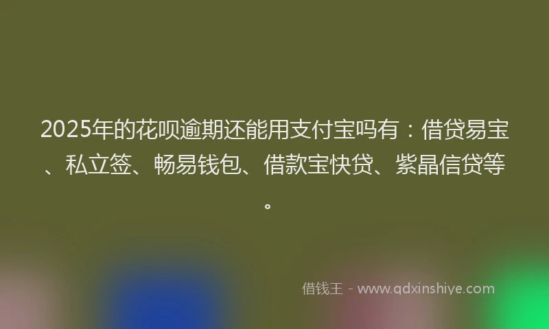 2025年的花呗逾期还能用支付宝吗有：借贷易宝、私立签、畅易钱包、借款宝快贷、紫晶信贷等。