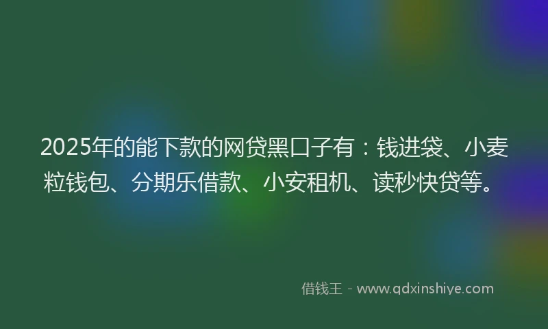 2025年的能下款的网贷黑口子有：钱进袋、小麦粒钱包、分期乐借款、小安租机、读秒快贷等。
