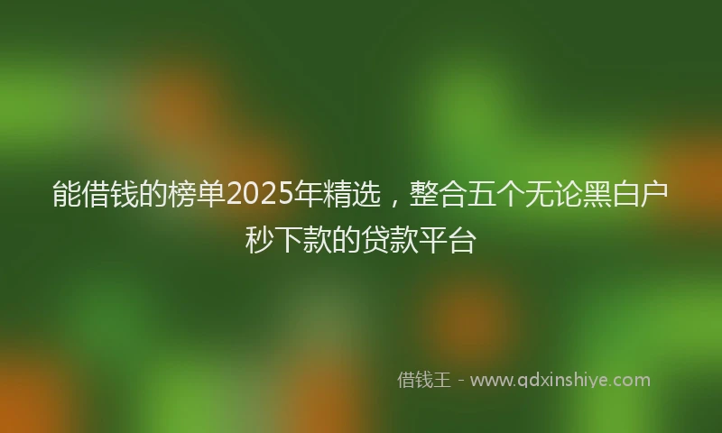 能借钱的榜单2025年精选，整合五个无论黑白户秒下款的贷款平台