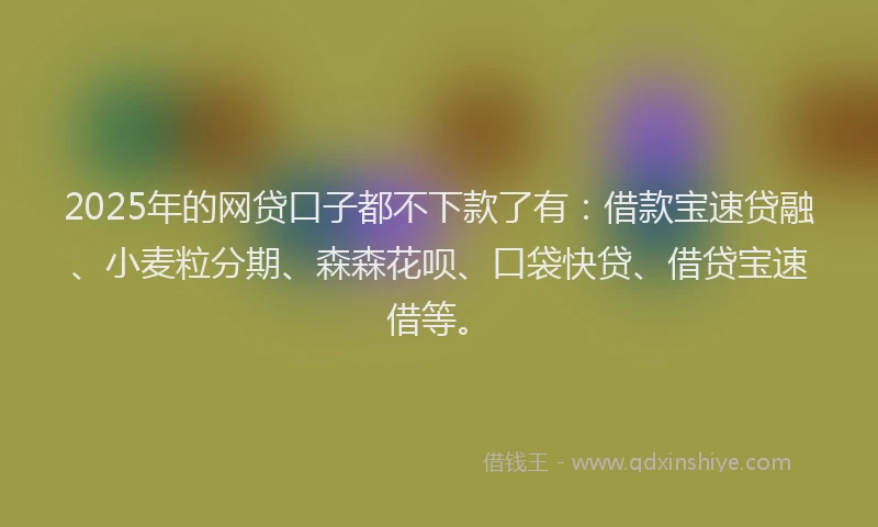2025年的网贷口子都不下款了有：借款宝速贷融、小麦粒分期、森森花呗、口袋快贷、借贷宝速借等。