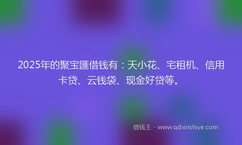 2025年的聚宝匯借钱有：天小花、宅租机、信用卡贷、云钱袋、现金好贷等。