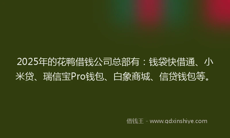2025年的花鸭借钱公司总部有：钱袋快借通、小米贷、瑞信宝Pro钱包、白象商城、信贷钱包等。