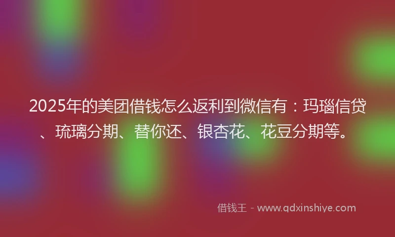2025年的美团借钱怎么返利到微信有：玛瑙信贷、琉璃分期、替你还、银杏花、花豆分期等。