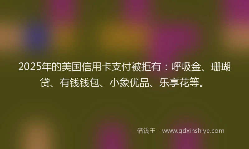 2025年的美国信用卡支付被拒有：呼吸金、珊瑚贷、有钱钱包、小象优品、乐享花等。