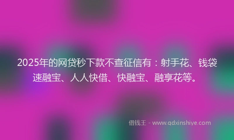 2025年的网贷秒下款不查征信有：射手花、钱袋速融宝、人人快借、快融宝、融享花等。