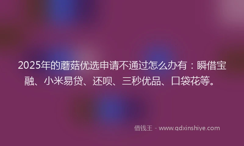 2025年的蘑菇优选申请不通过怎么办有：瞬借宝融、小米易贷、还呗、三秒优品、口袋花等。