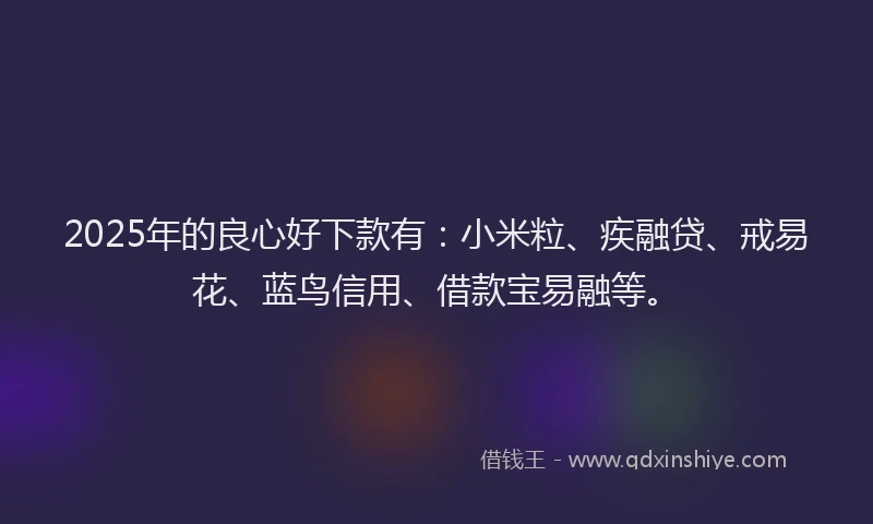 2025年的良心好下款有：小米粒、疾融贷、戒易花、蓝鸟信用、借款宝易融等。