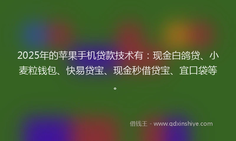 2025年的苹果手机贷款技术有：现金白鸽贷、小麦粒钱包、快易贷宝、现金秒借贷宝、宜口袋等。