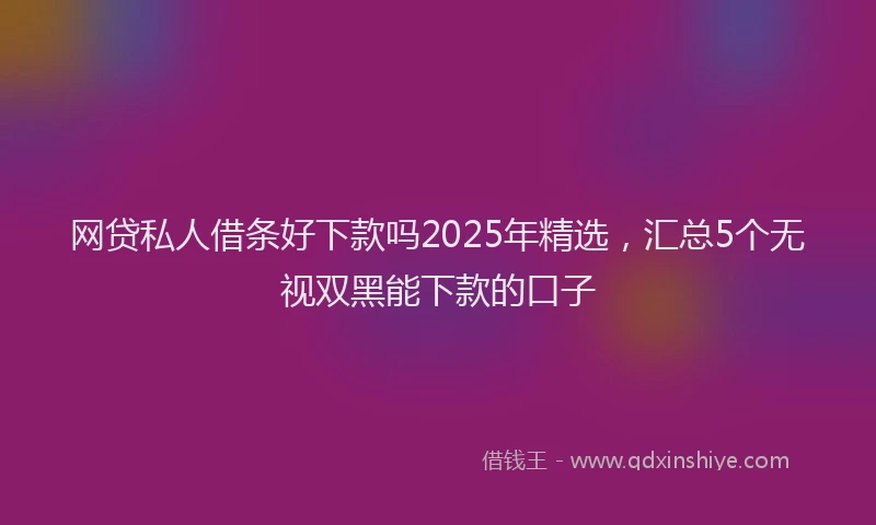 网贷私人借条好下款吗2025年精选，汇总5个无视双黑能下款的口子