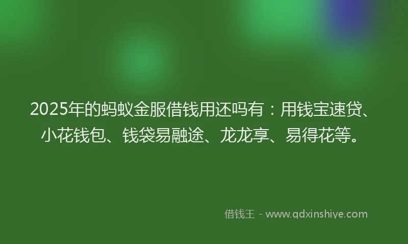 2025年的蚂蚁金服借钱用还吗有：用钱宝速贷、小花钱包、钱袋易融途、龙龙享、易得花等。