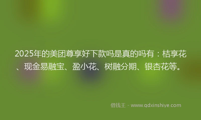 2025年的美团尊享好下款吗是真的吗有：桔享花、现金易融宝、盈小花、树融分期、银杏花等。