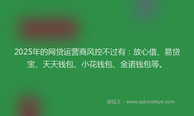 2025年的网贷运营商风控不过有：放心借、易贷宝、天天钱包、小花钱包、金诺钱包等。