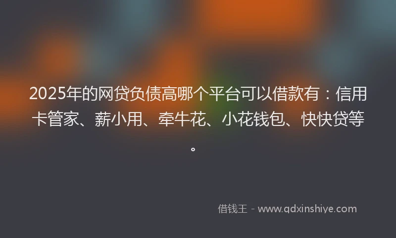 2025年的网贷负债高哪个平台可以借款有：信用卡管家、薪小用、牵牛花、小花钱包、快快贷等。