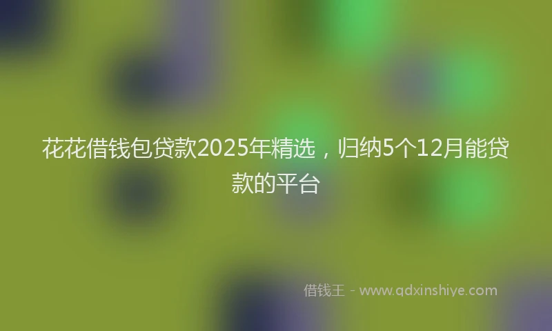 花花借钱包贷款2025年精选，归纳5个12月能贷款的平台