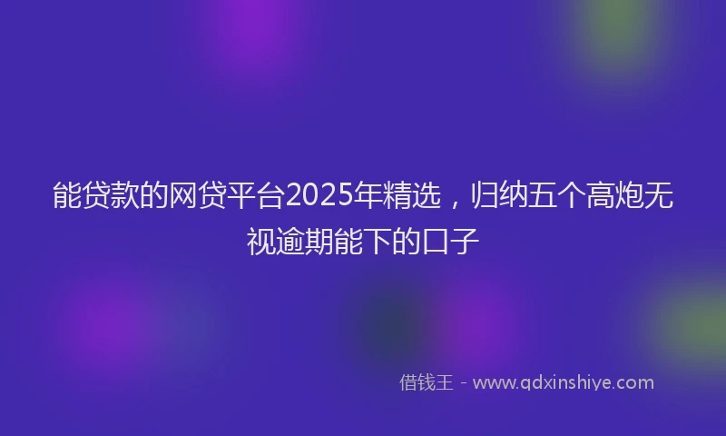 能贷款的网贷平台2025年精选，归纳五个高炮无视逾期能下的口子