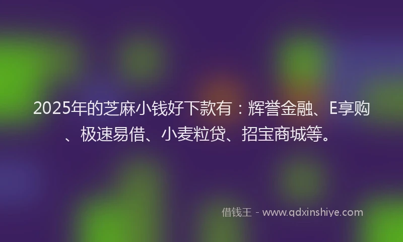 2025年的芝麻小钱好下款有：辉誉金融、E享购、极速易借、小麦粒贷、招宝商城等。