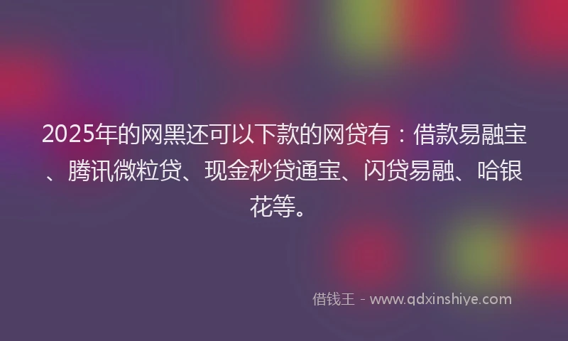 2025年的网黑还可以下款的网贷有：借款易融宝、腾讯微粒贷、现金秒贷通宝、闪贷易融、哈银花等。
