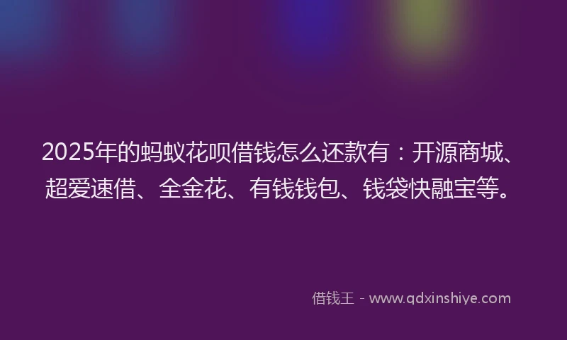 2025年的蚂蚁花呗借钱怎么还款有：开源商城、超爱速借、全金花、有钱钱包、钱袋快融宝等。