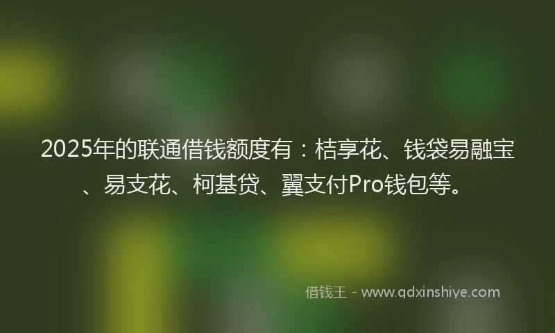 2025年的联通借钱额度有：桔享花、钱袋易融宝、易支花、柯基贷、翼支付Pro钱包等。
