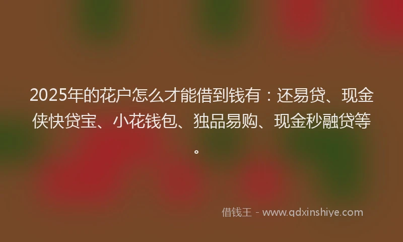 2025年的花户怎么才能借到钱有：还易贷、现金侠快贷宝、小花钱包、独品易购、现金秒融贷等。
