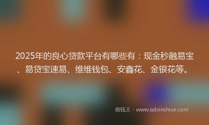 2025年的良心贷款平台有哪些有：现金秒融易宝、易贷宝速易、维维钱包、安鑫花、金银花等。