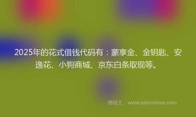 2025年的花式借钱代码有：蒙享金、金钥匙、安逸花、小狗商城、京东白条取现等。