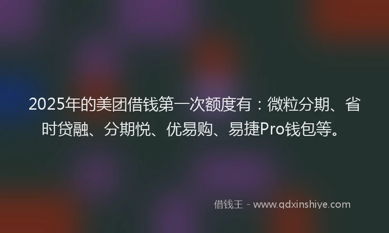 2025年的美团借钱第一次额度有：微粒分期、省时贷融、分期悦、优易购、易捷Pro钱包等。